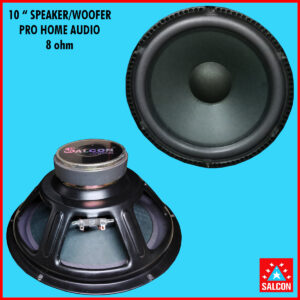 Salcon subwoofer 2024